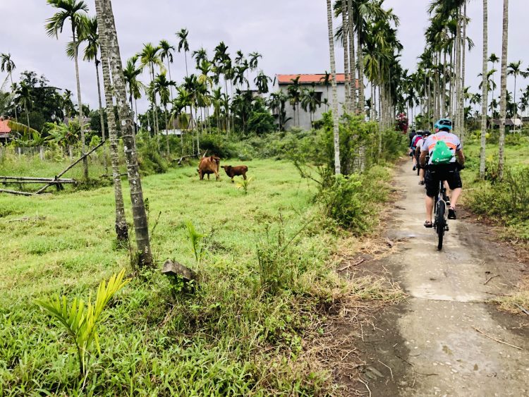 7 - Visite à vélo - Asie