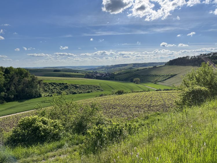 3 - Visite à vélo - Bourgogne