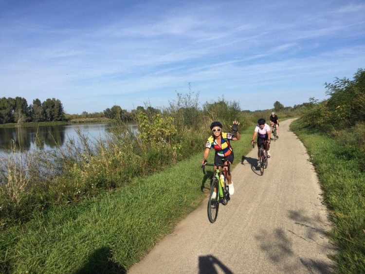 view of cyclists on the loire cycle path