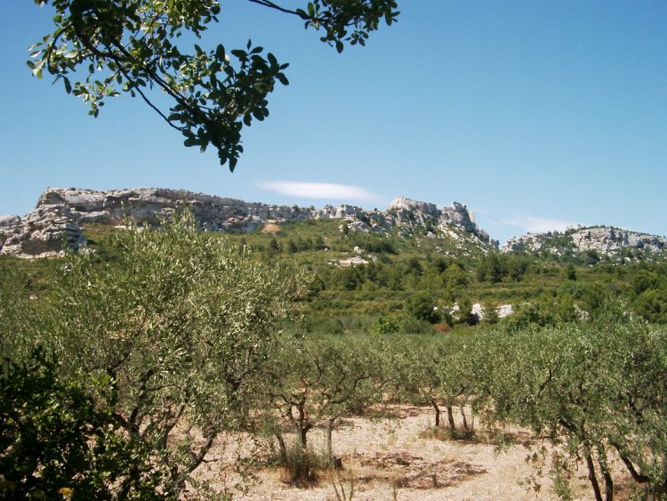 View at the Alpilles
