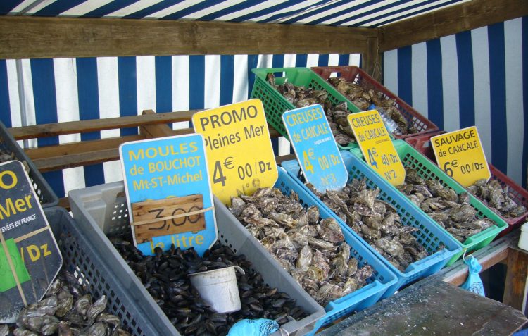 Oysters in North Brittany