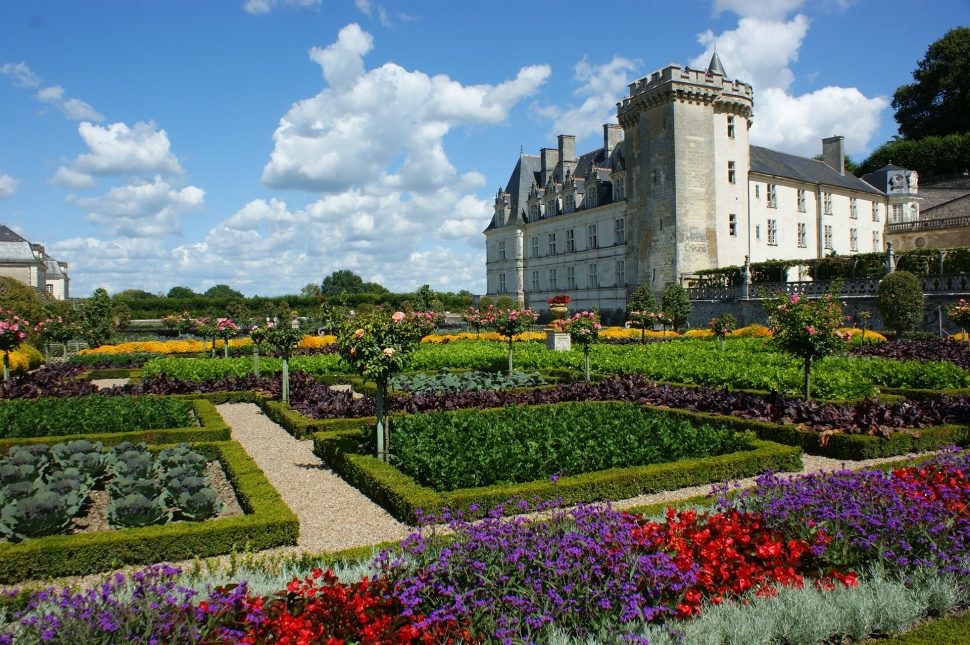 Blick auf ein Schloss an der Loire