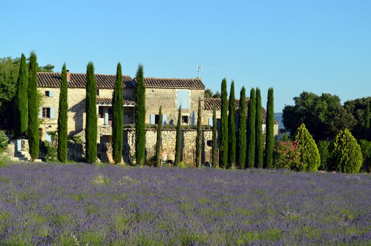 Landschaft der Provence