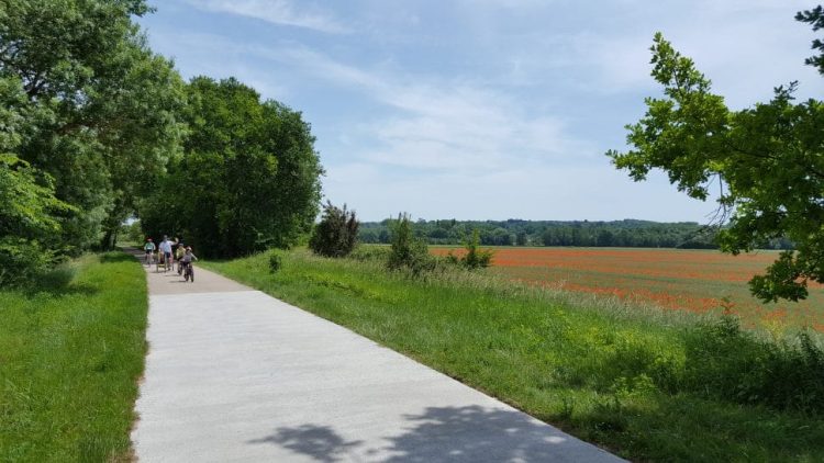 view of a cycle path in nature