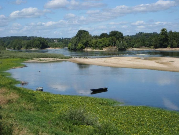 Blick auf Sandbank in der Loire