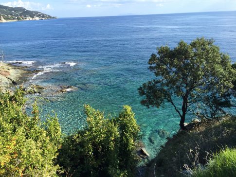Blick auf Bucht am Kap Korsika