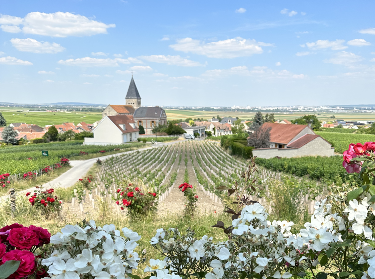 3 - Vacances à vélo - Champagne