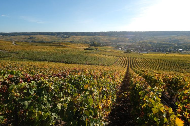 4 - Voyage à vélo - Champagne