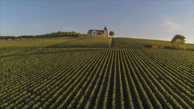 9 - Vacances à vélo - Champagne