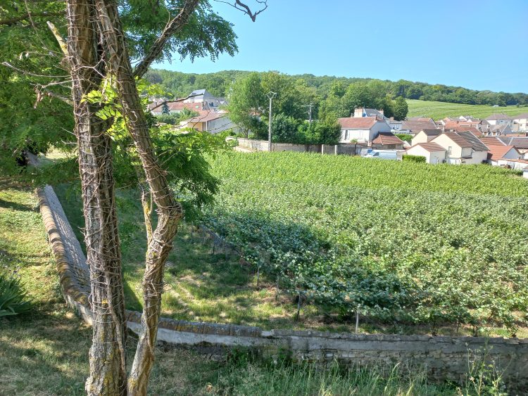 8 - Vacances à vélo - Champagne