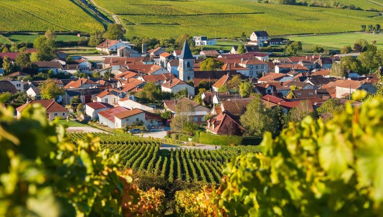1 - France à vélo - Champagne