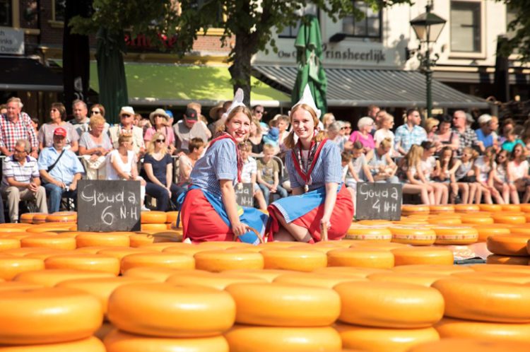 Blick auf Käse in Alkmaar
