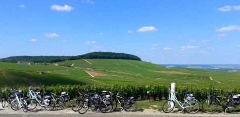 Cycle tour in the Champagne