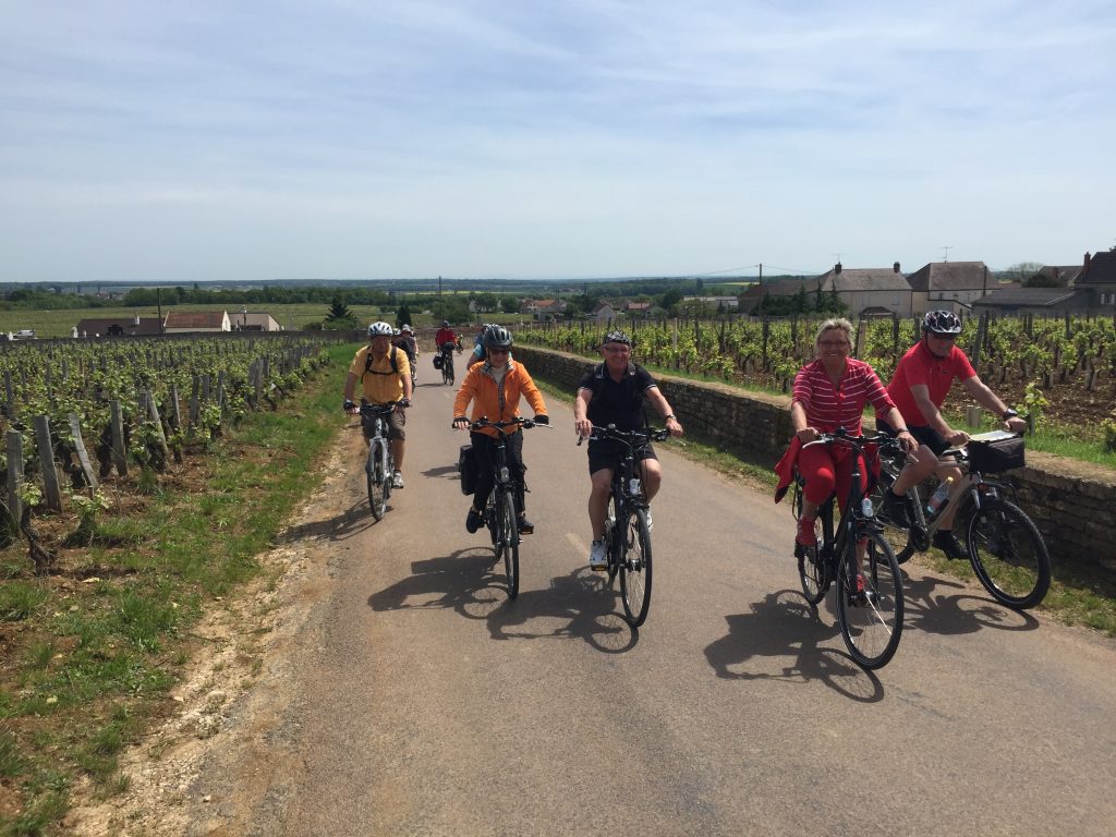 Radfahrer zwischen Weinbergen Cöte-de-Beaune