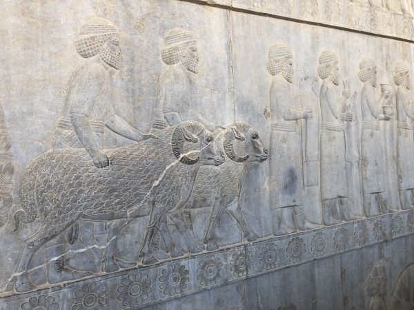 Die in steingeschmeisselte Geschichte in Persepolis auf unserer Radreise durch den Iran