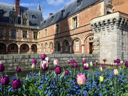 Vue sur Chateau Mainteon avec les tulipes