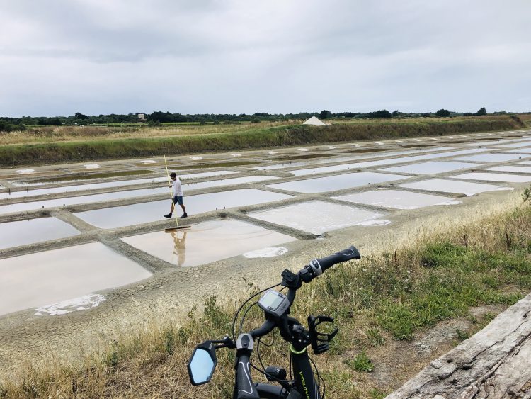 7 - France à vélo - Atlantische Küste / Vélodyssée
