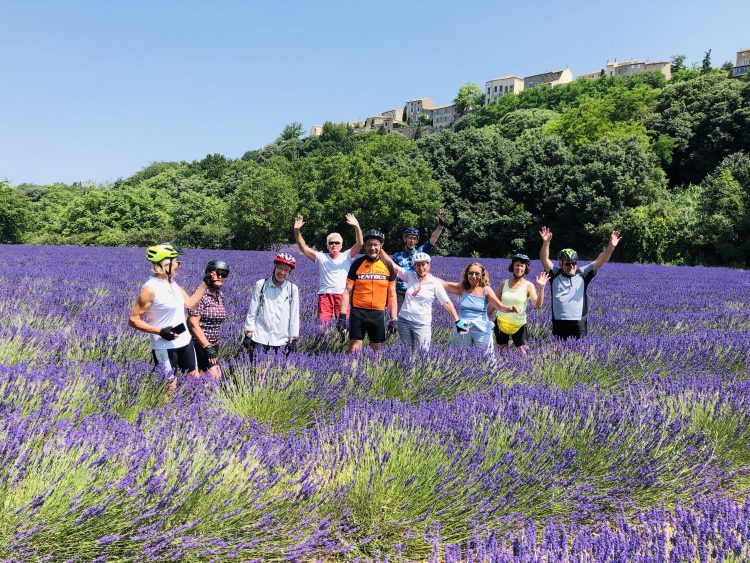 8 - Bike Tour - Provence