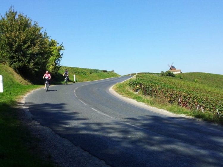 2 cyclists on a road between vineyards in champagne