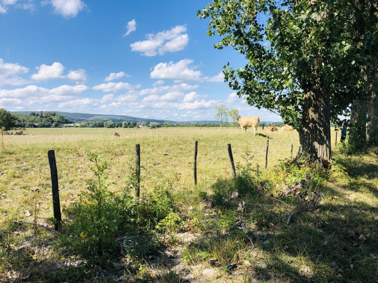 5 - Vacances à vélo - Bourgogne