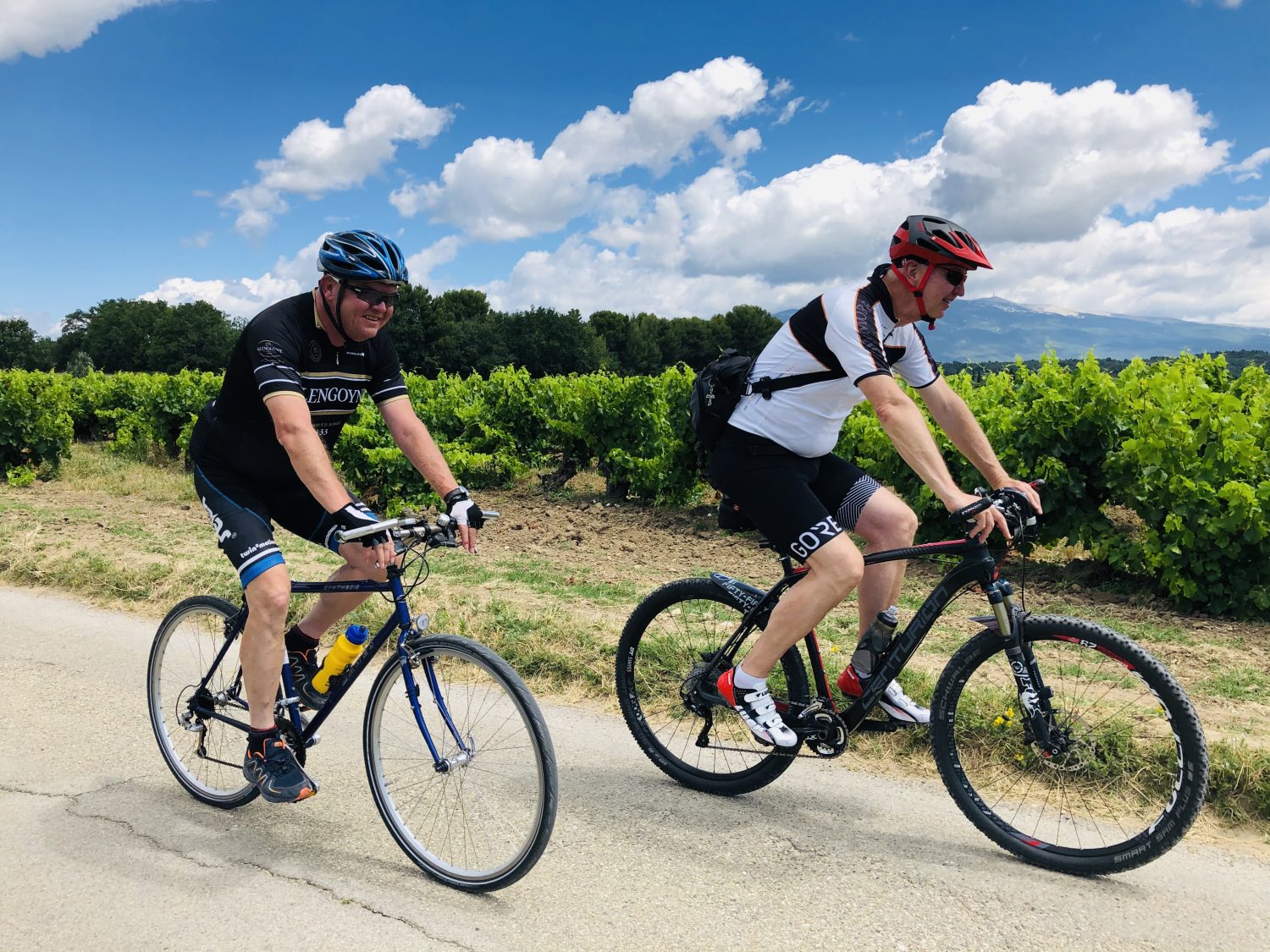 Zwei Radfahrer in den Weinbergen der Provence