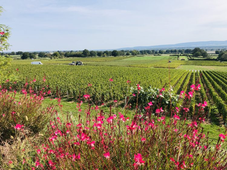 7 - Vacances à vélo - Bourgogne