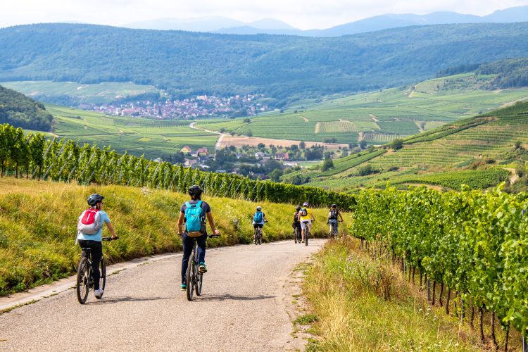 5 - Visite à vélo - Alsace