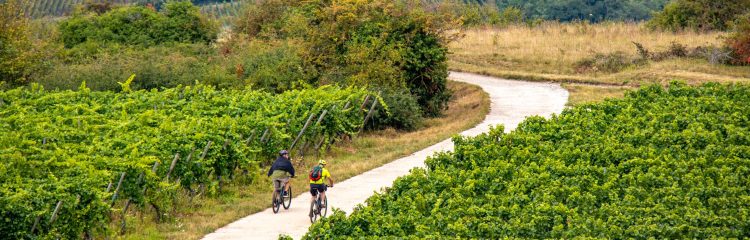 1 - Séjour à vélo - Alsace