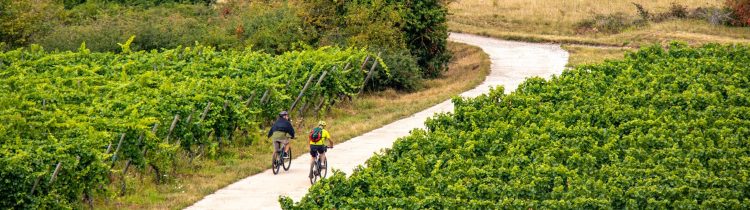 1 - Radfahren bleiben - Elsass