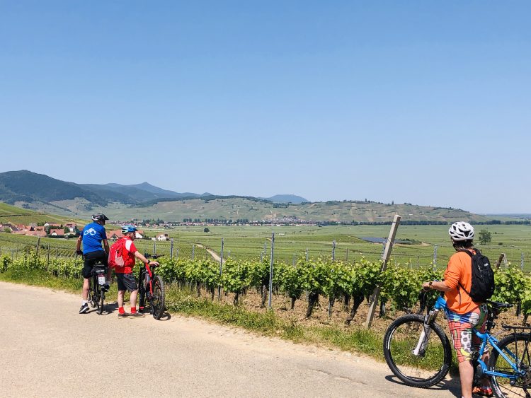4 - Bike Tour - Elsass