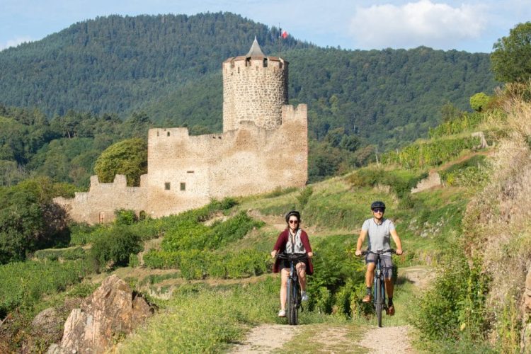 Fahrradfahrer im Elsass zwischen Weinbergen und einer Burg im Hintergrund
