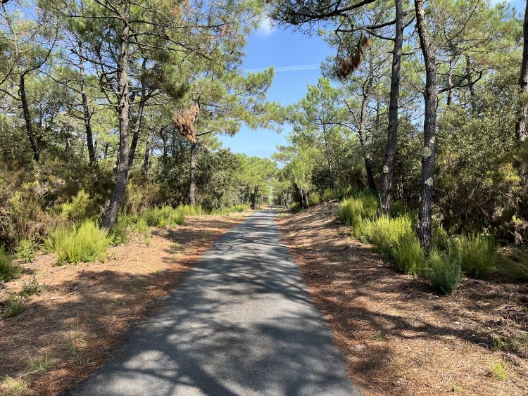 4 - Bike Tour - Atlantische Küste / Vélodyssée