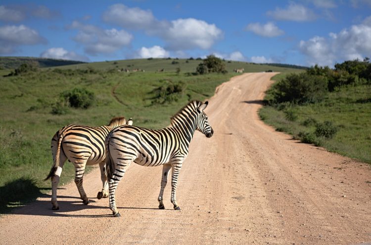 4 - Bike tour - Africa