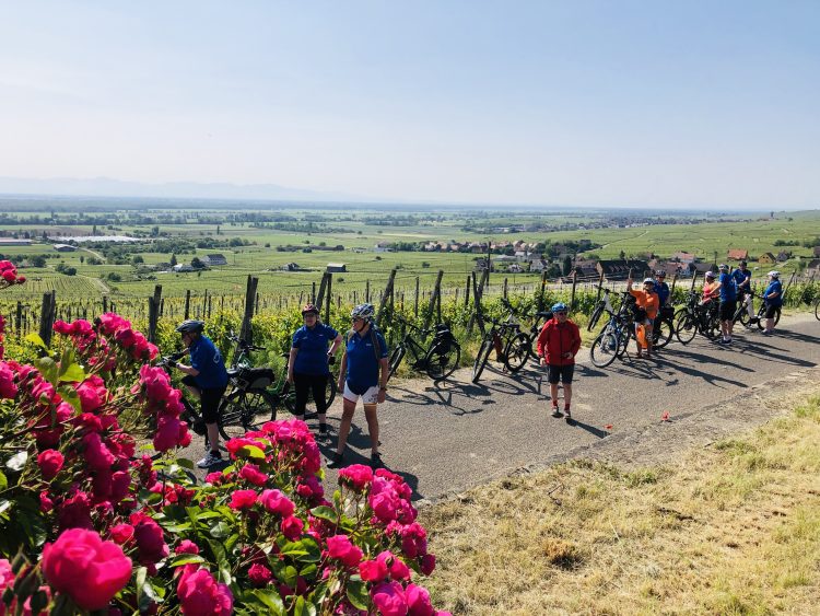1 - Bike Tour - Elsass