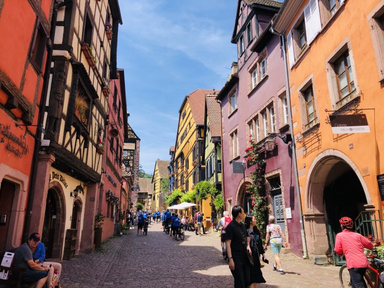 2 - Bike Tour - Elsass