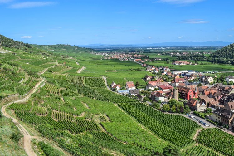 3 - Bike Tour - Elsass