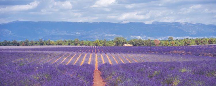 6 - Radtour - Provence