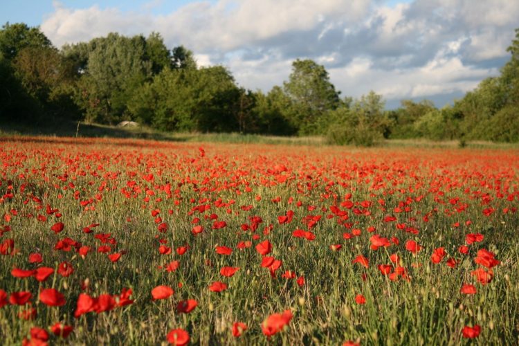 4 - Radtour - Provence