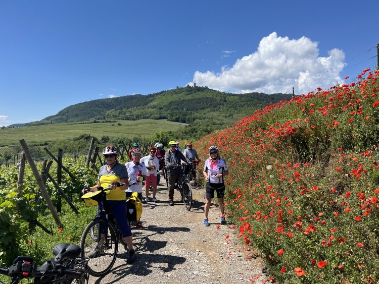 6 - Bike Tour - Elsass