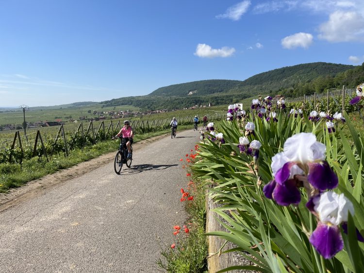 7 - Radtour - Elsass