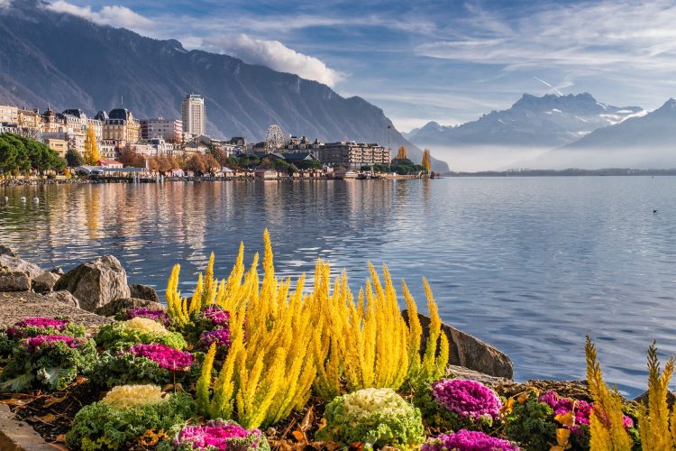 9 - Bike tour - Swiss
