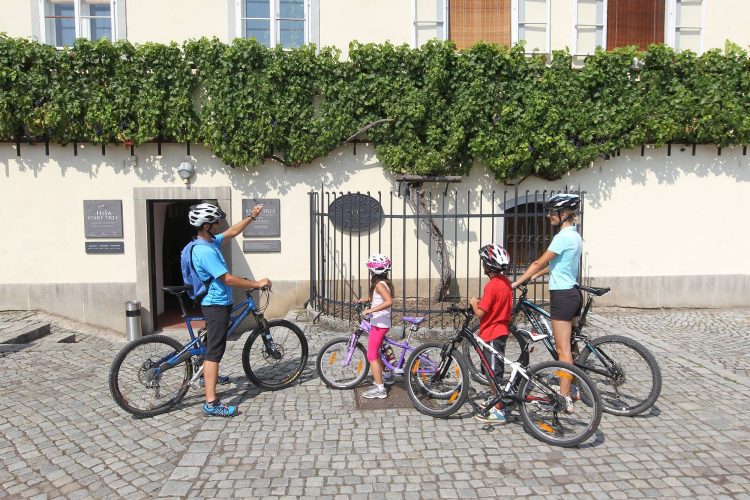 6 - Radfahren bleiben - Österreich