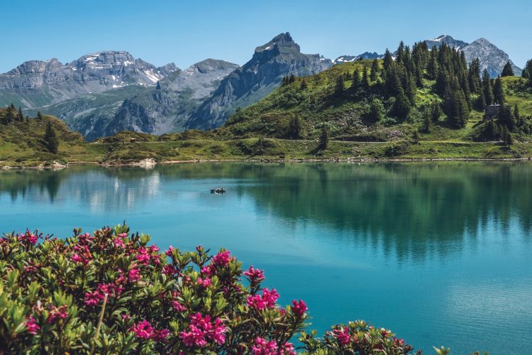 8 - Cycling break - Swiss